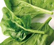 Store Brand Spinach 9oz Bag