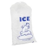 Store Brand Ice Cubes 10LB Bag