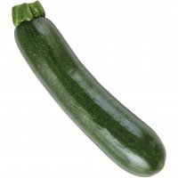 Zucchini Squash 1EA
