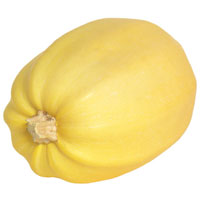 Spaghetti Squash 1EA