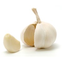 Garlic Bulb 1EA