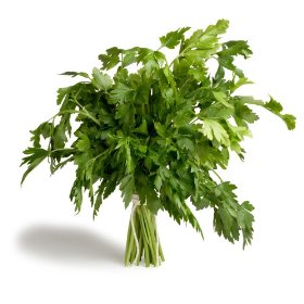 Parsley Italian (Flat Leaf) 1 Bunch