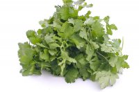 Cilantro 1 Bunch Fresh