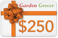 Gift Certificate $250