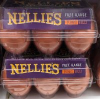 Nellie's Free Range Jumbo Grade A Brown Half Dozen Eggs product image